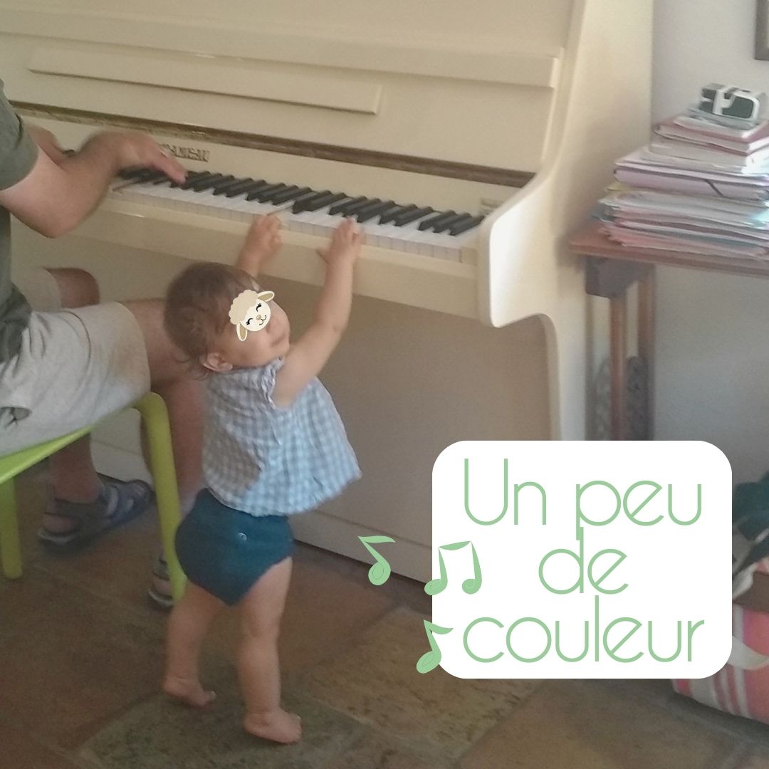 culotte en laine EASY couleur